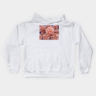 Stem cells, illustration (F013/1490) Kids Hoodie